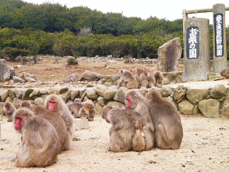 画像：銚子渓　お猿の国